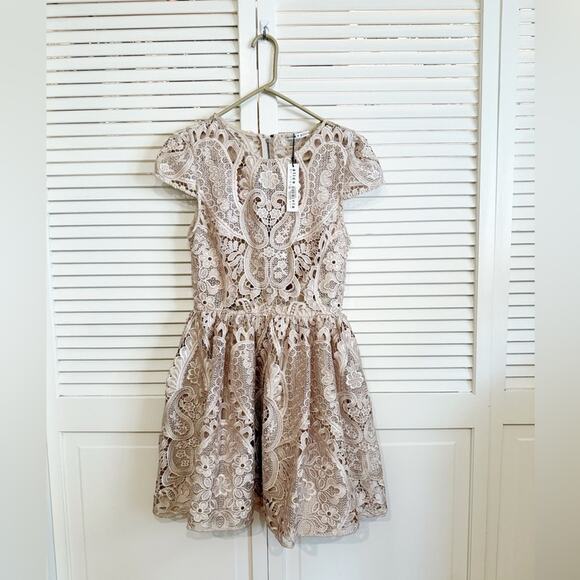 NWT NEW Alice + Olivia Gracia Nude Lace Fit and Flare Mini Dress - Picture 5 of 9